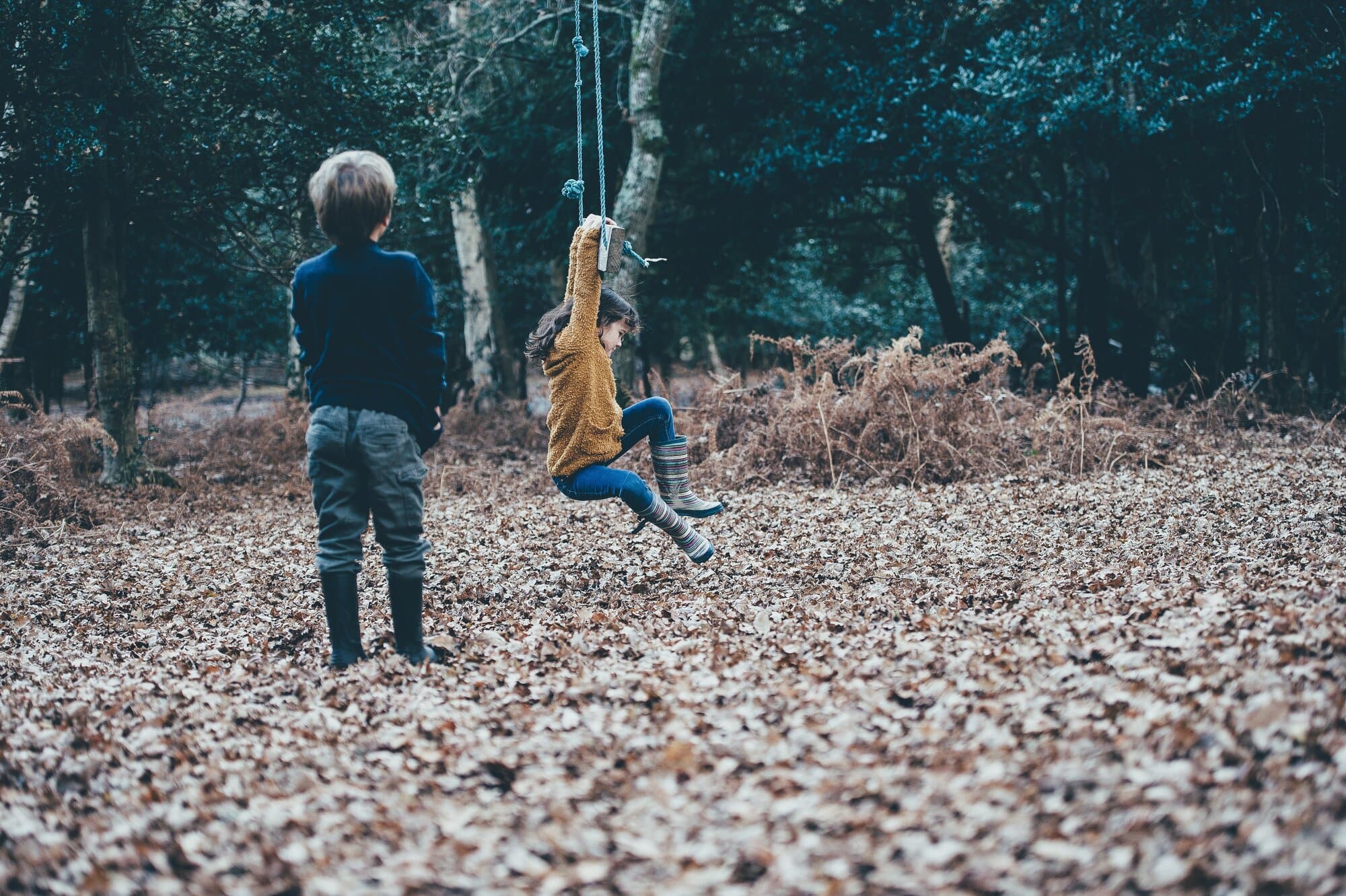 Two children on a swing in a park